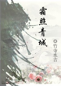 霜照青城