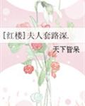 [紅樓]夫人套路深.